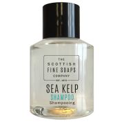 Sea Kelp Shampoo 30 mL