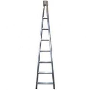 Ladder Window Cleaning Ladder 12ft Double